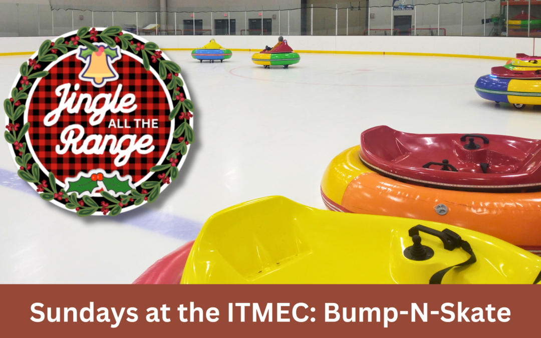 Sundays at the IRMEC: Bump N Skate